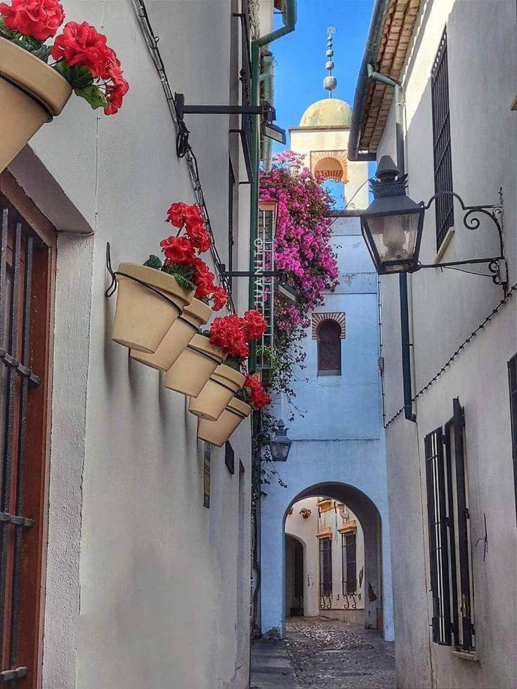 Precioso Loft El Arcangel Junto A La Ribera Cordoba Luaran gambar